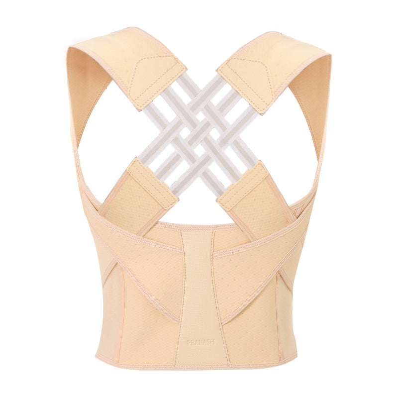 Essential Haven Back Support Belt